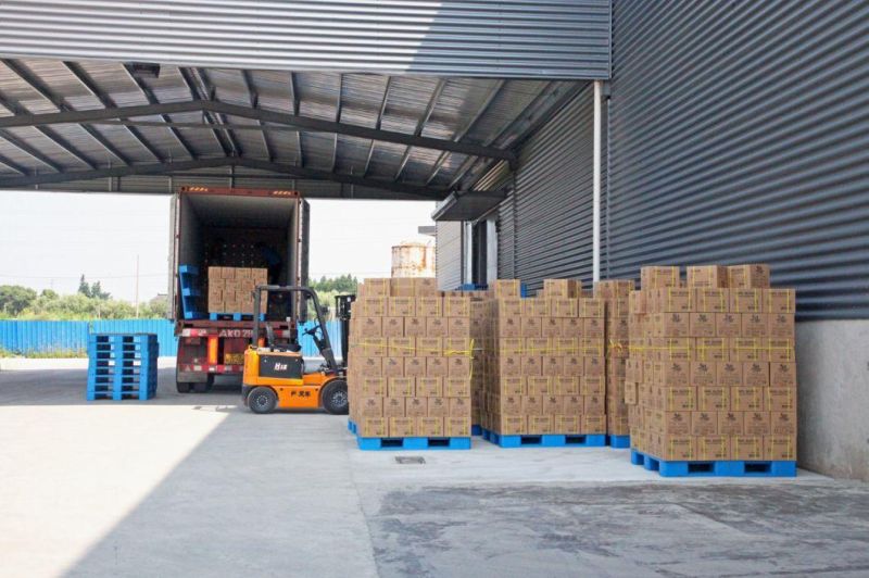 Blended Nitrile Disposable Gloves Food Grade Available in Kitchen Barbecue Catering