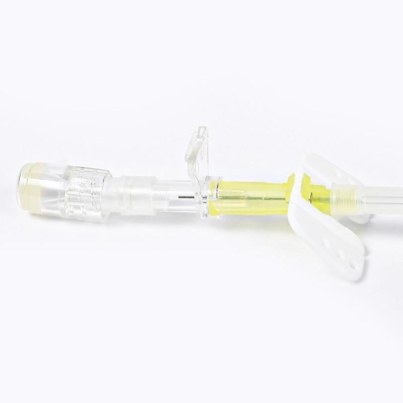 Promotional High Quality Disposable Butterfly Type Laboratory Medical Use Indwelling Needle