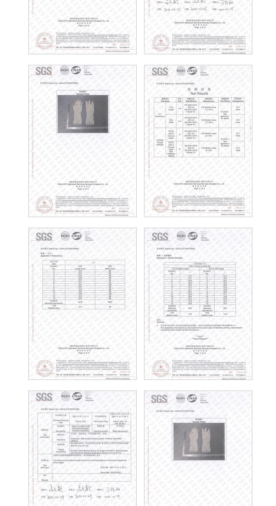 Gusiie Good Quality Sterilized Powder Free Latex Surgical Glove / Medical Glove