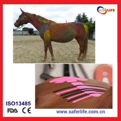 Saferlife Kinesio Tape for Sports Horse Therapy Curing Taping Elastic Non-Woven Cohesive Bandage Pet for Wound Wholesale Printed