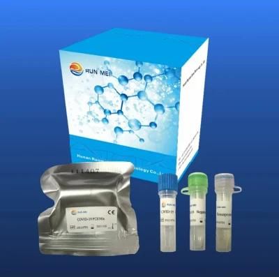 New Fluorescent Rt-PCR Method Nucleic Acid Detection Kit for Test Equipment