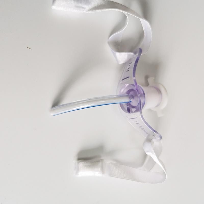 Endotracheal Tube Tracheal Tubes and Tracheostomy Cannulas in Different Sizes