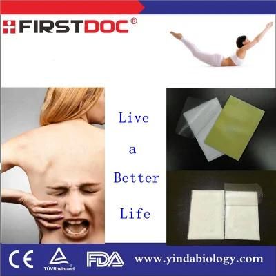 High Quality China Supplier Medical Supply Capsicum Hot Pain Patch