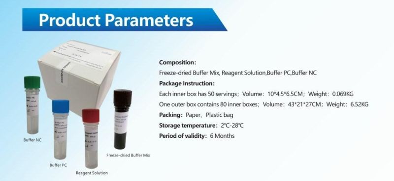 Influenza a Virus H8 Subtype Nucleic Acid Detection PCR Kit