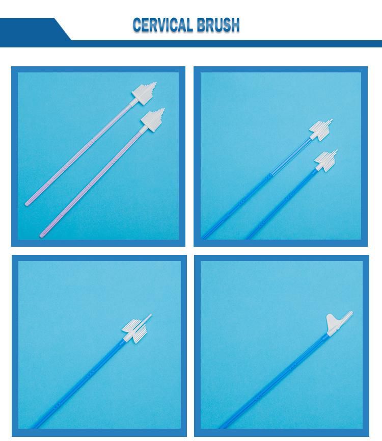 Safe and Hygienic Disposable Medical Sample Cervical Brush for Gynaecology Use