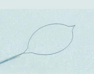 Disposable Polypectomy Snare