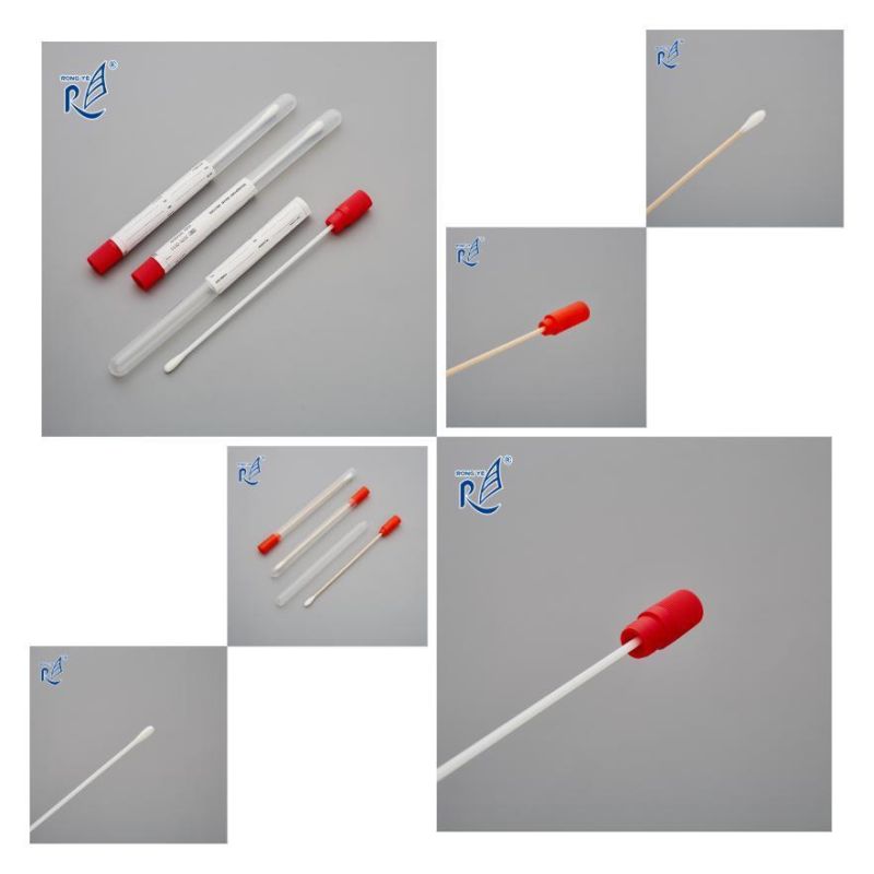 Sterile Flocked Oral Swab with Hard Tube/Specimen Transport Oral Swab with Tube