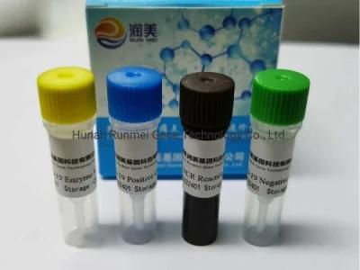 Legionella Pneumophila Nucleic Acid Quantitative Detection Preloaded Kit