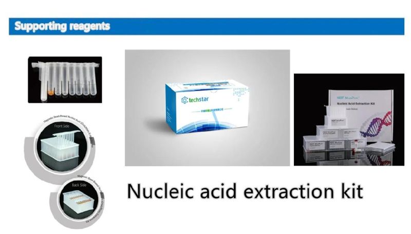 Techstar Nucleic Acid Detection Kit Reagent Extraction Detection Test Kit Magnetic Bead