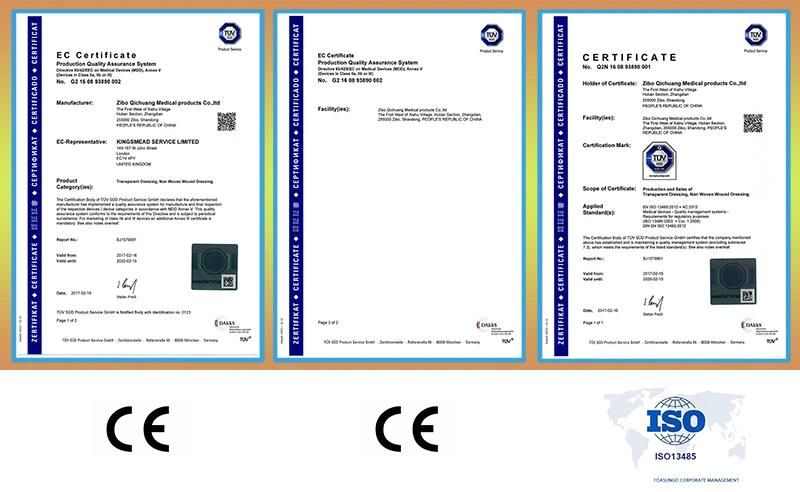 IV Cannula Fixing Dressing Semi-Permeable PU Film with Ce Manufacturer