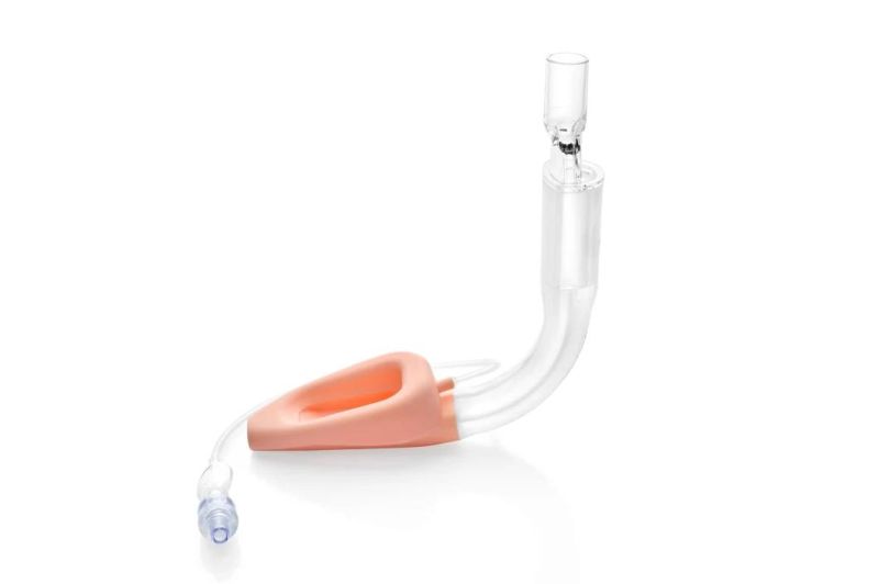 Dlm2.5s Disposable Laryngeal Mask Airway (Proseal)