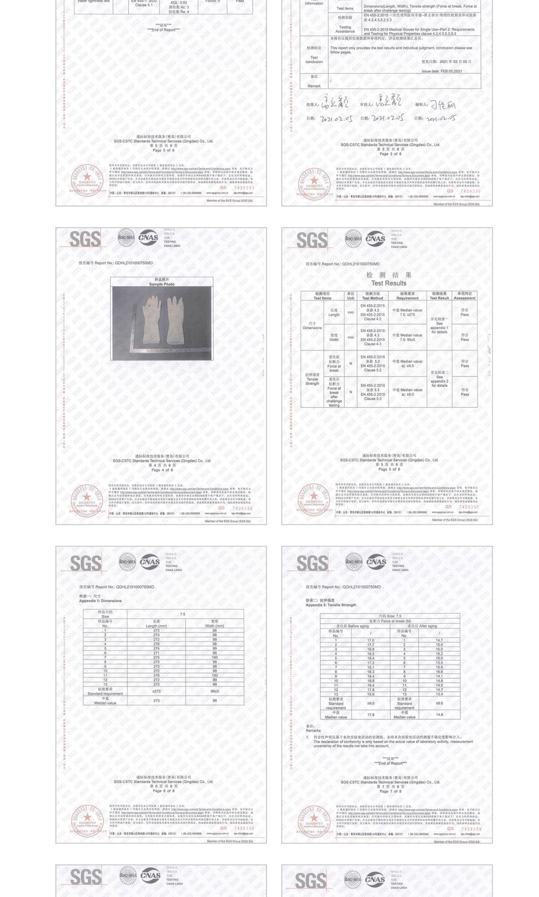 Medical Examination High Quality Disposable Sterilized Latex Surgical Glove