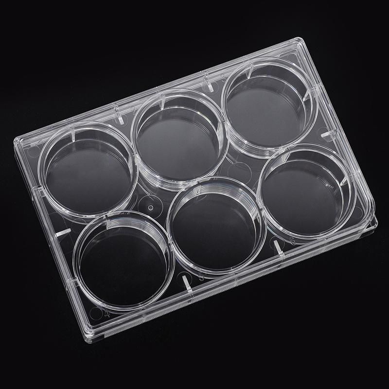 High Quality Wholesale Lab Instrument Plastic Transparent 6 Well Cell Plate