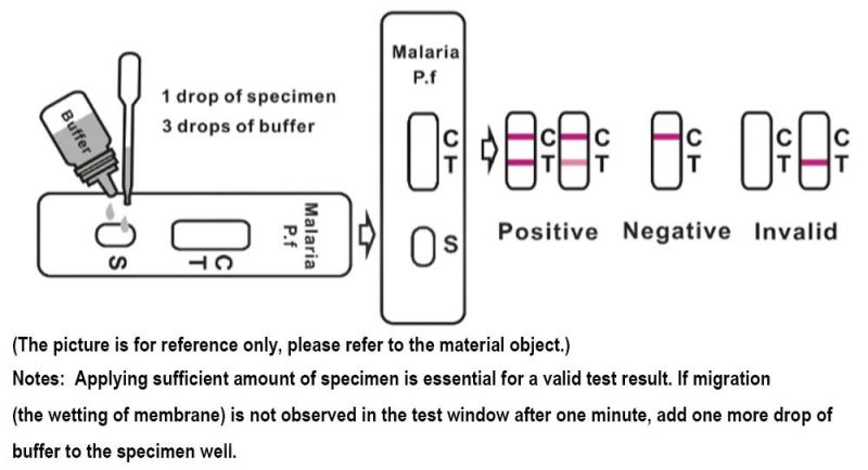 Best Price Malaria PV/PF Rapid Test Kit