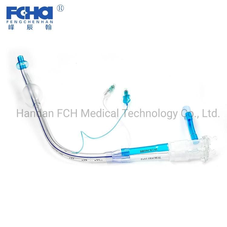 Double Lumen Endotracheal Tube Ventilation