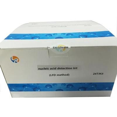 CE ISO Nucleic Acid Detection Kit