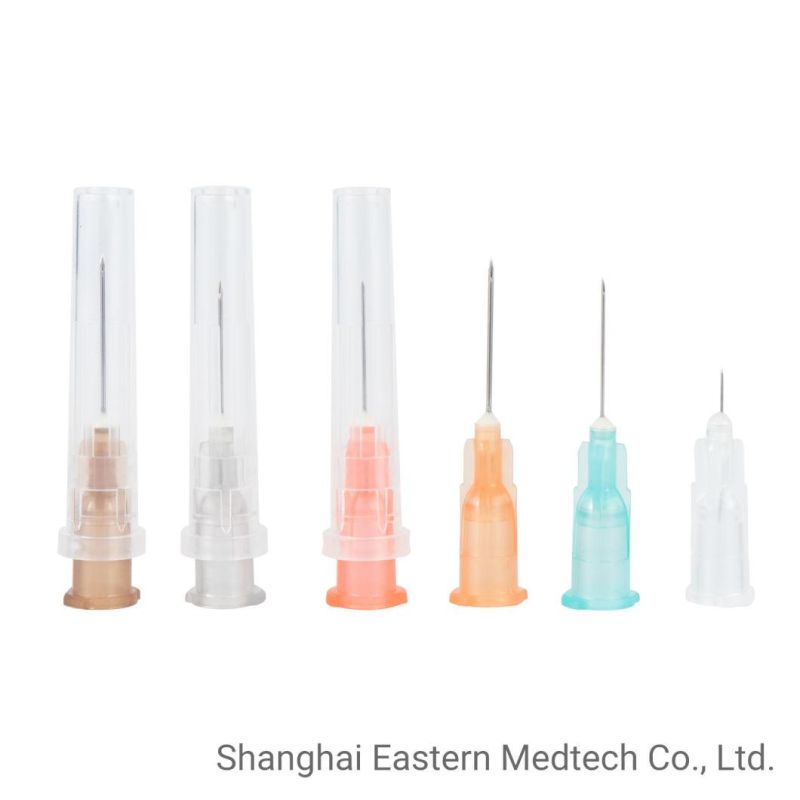CE&ISO Certificated 6: 100 Luer Hub Disposable Vaccine Injection Needle