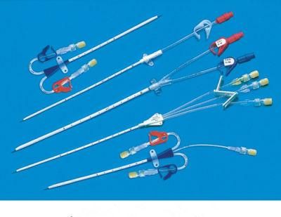 Dialysis Catheter/Dialysis Catheter Kit/Central Venous Catheter