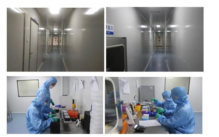 Antibody Detection Kit Elisa, Factory Supply CE Approved Elisa Test Kit, Ivd Elisa Testing Elisa From Manufacturer