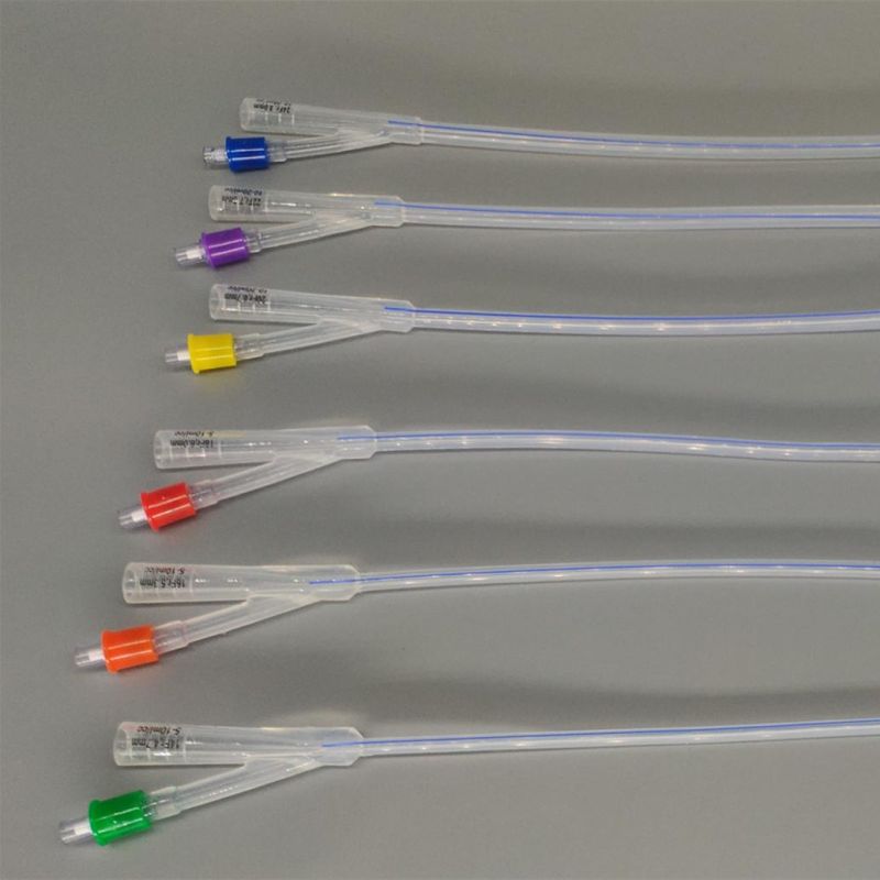 F6-F24 2 Way Double-Lumen Standard Type Full Silicon Urethral Catheter/Foley Catheter