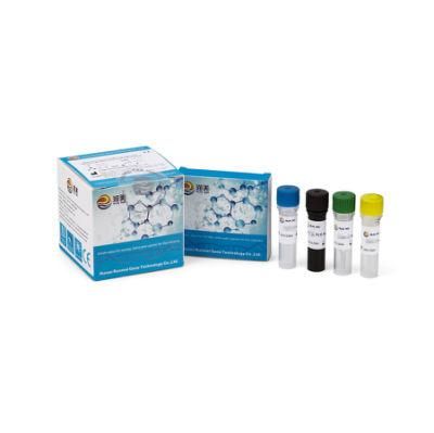 Hot Selling Medcial Products PCR Kit Real Time, Realtime PCR Test, Hot Sales CE Virus PCR Test Kits