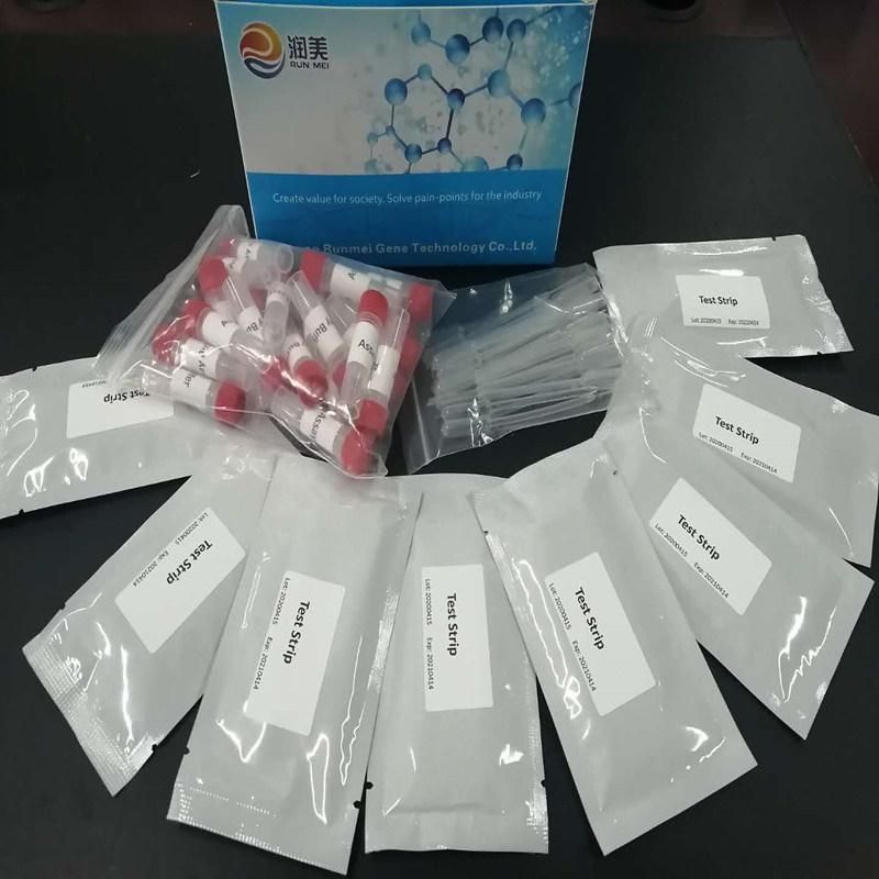 Rapid Medical Home Test Virus Rapid Test Kit Diagnostic Test Kit Igg Igm Test Kit