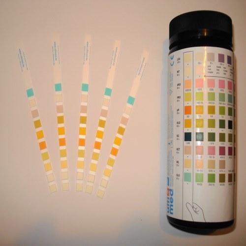 Urine Test Strip/ Urine Glucose Test Strip/ Urinalysis Test Strips/Urine Dipstick Test