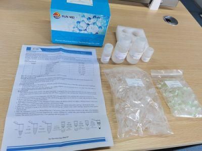 Hot Sale Nucleic Acid Extraction Kit and Purification Kit