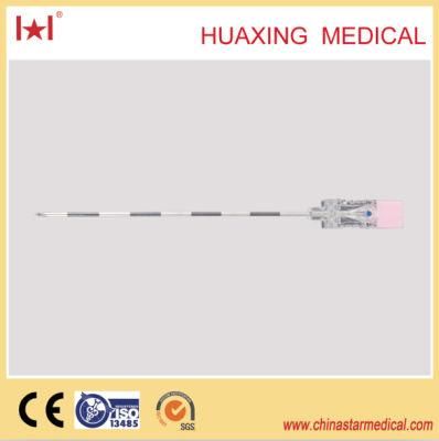 Single-Use Medical Epidural Needle (Anesthesia Needle)