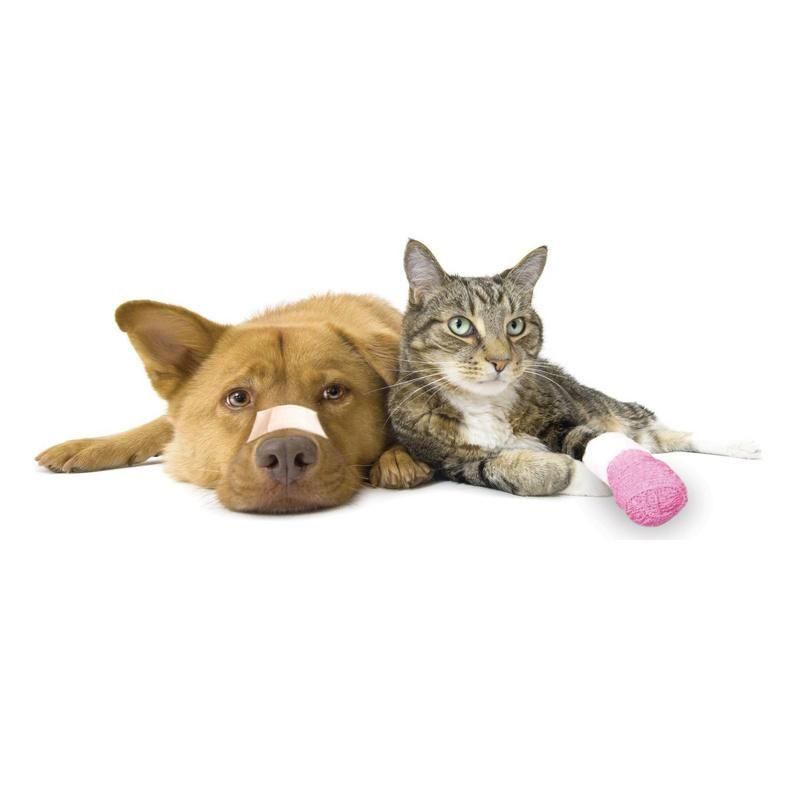 Cohesive Elastic Bandage, for Pets Use