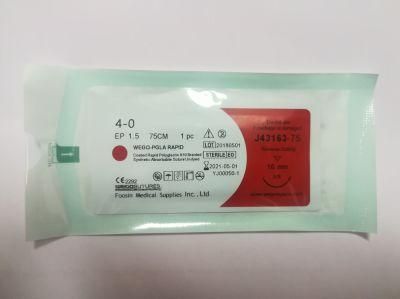 Pgla Rapid Undyed Suture Used for General Surgery