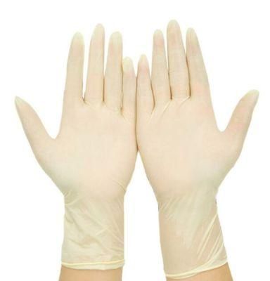 Household High Quality Personal Protective Disposable Industrial Embroidered Rubber Latex Gloves Protection Personal Items