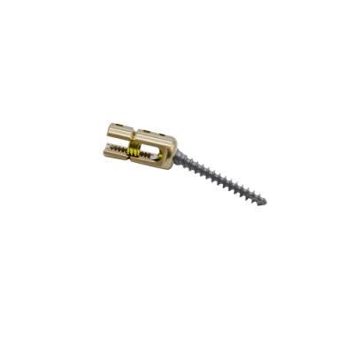 Polyaxial Reduction Screw for Spinal Fixation Surgery Orthopedic Implants Spine Screws
