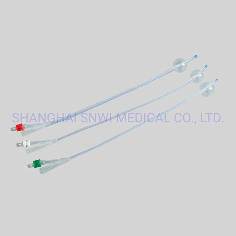 CE/ISO Approved 2-Way Latex Foley Catheter