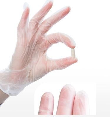 PVC Gloves Plastic Disposable Gloves