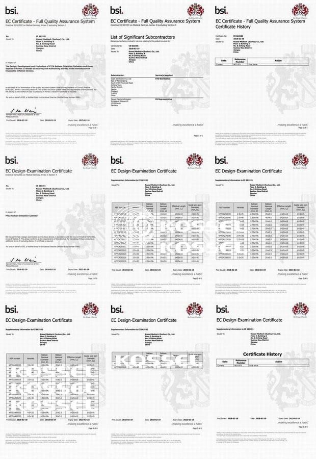 China Supplier Ptca Balloon Catheter CE Certified Companies Manufacturers