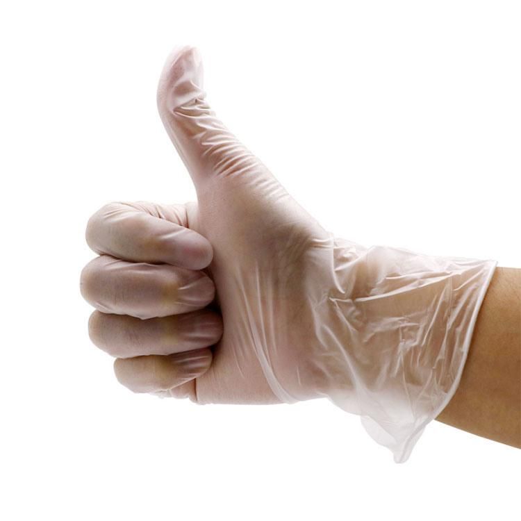 CE and ISO Approved Copolymer Gloves/CPE Gloves