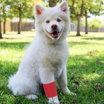 6 Pack 2&quot; X 5 Yards Self Adhesive Bandage Wrap Breathable Cohesive Vet Wrap for Pets, Elastic Self-Adherent Tape for Sports