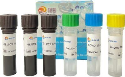 Pseudomonas Aeruginosa Nucleic Acid Detection Pre-Packed Kit (fluorescence PCR method)