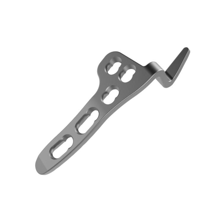 Clavicle Hook Plate, Small Fragment Locking Plate, Titanium Plate Plate