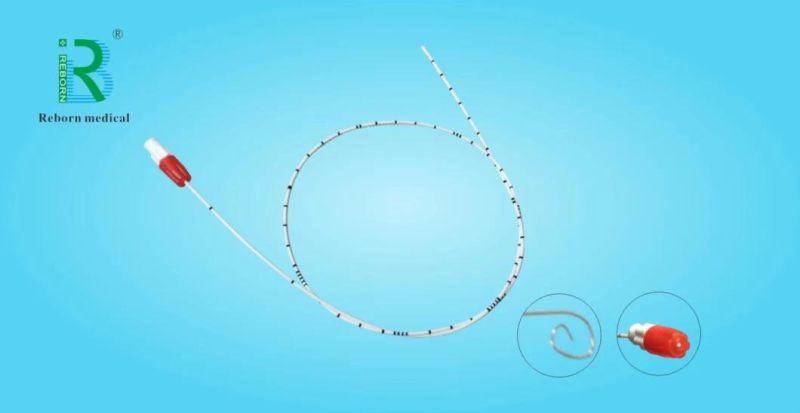 Ureter Dilatation Ureteral Catheter with Adaptor