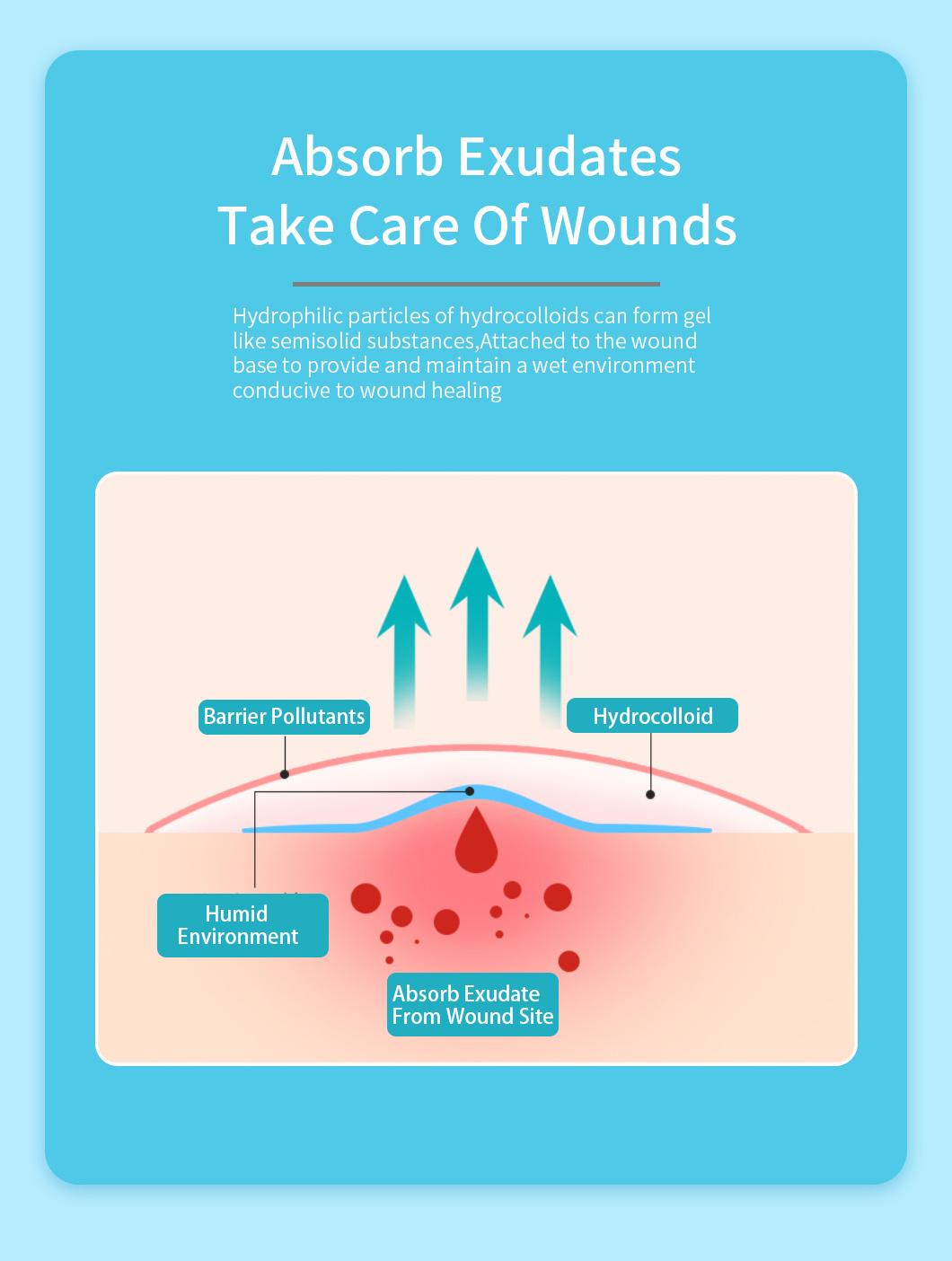 Hydrocolloid Dressing Absorb Exudates Wound