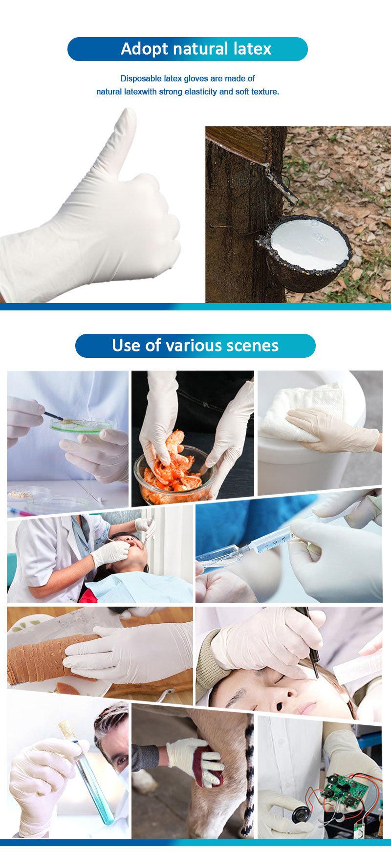 Disposable White Latex Protective Gloves Safety Examination Rubber Gloves Distributor
