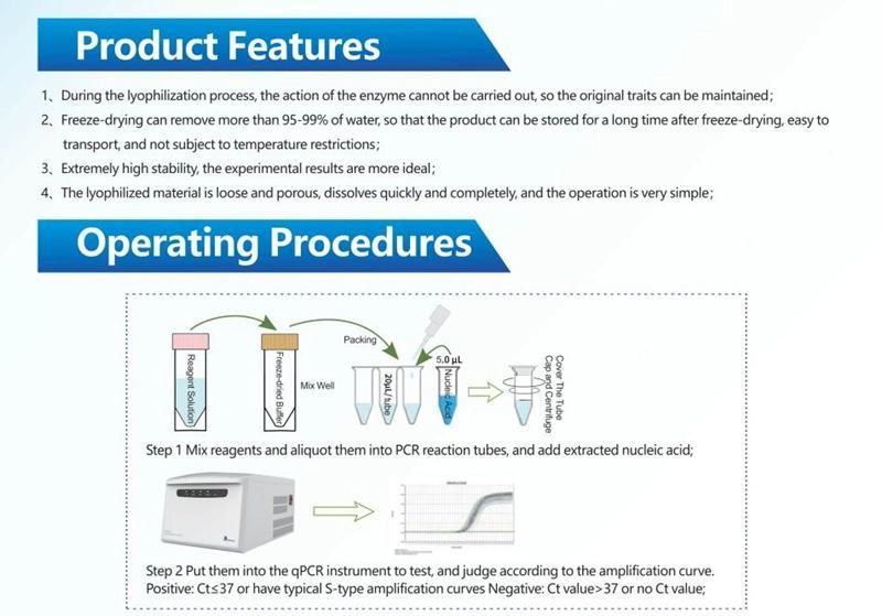 Influenza B Virus Yamagata Nucleic Acid PCR Test Kit