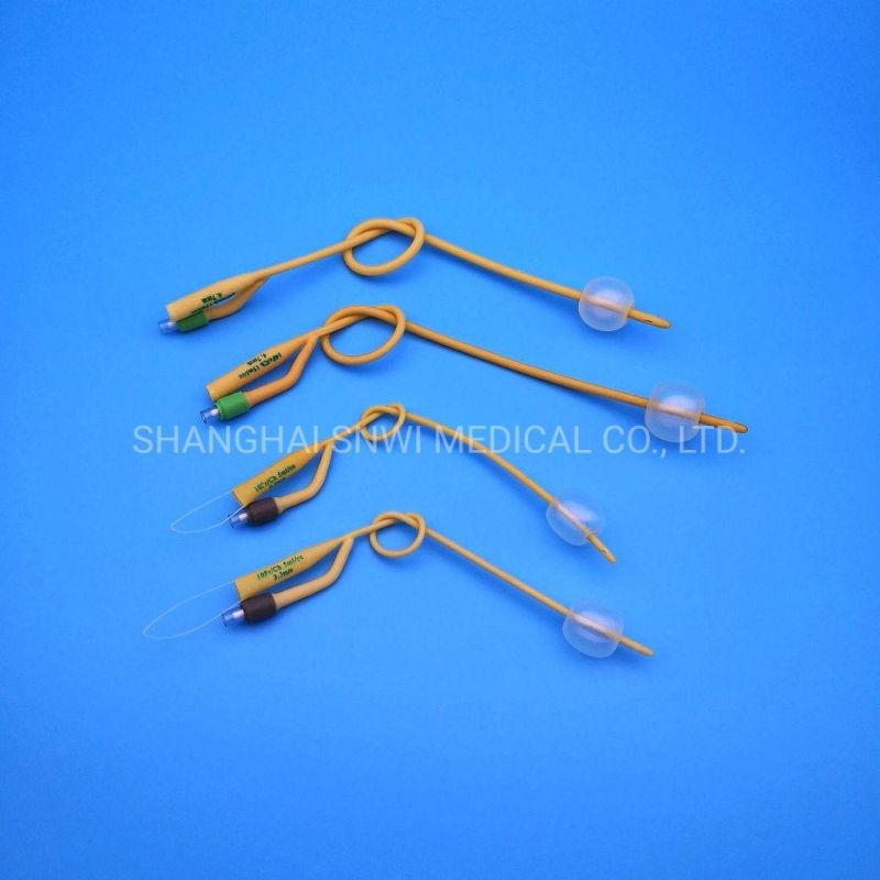 Disposable Medical Sterile Silicone Balloon Catheter 2-Way Silicone Foley Tube