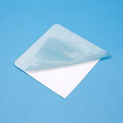 Wide Varieties Hydrogel Burn/Wound Dressing