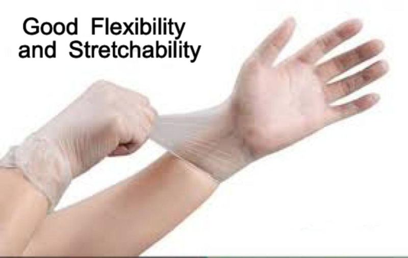 Powder Free Disposable PVC Vinyl Gloves with FDA CE
