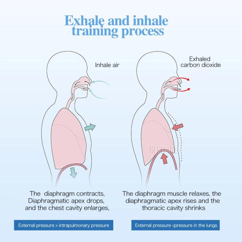 Effective Breathing Practice Exerciser and Lung Breathing Physical Therapy Device