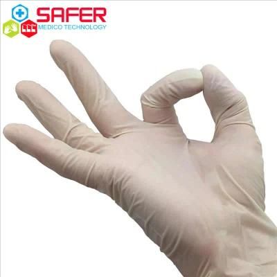 Examination Glove Latex Powder Free 6g for Foodservice