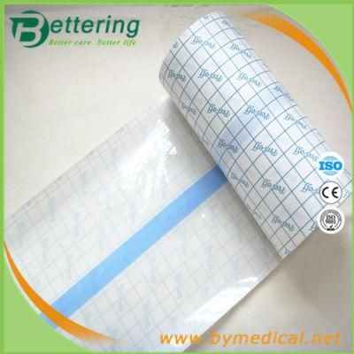 Transparent Waterproof Sterile Polyurethane Adhesive Tattoo Protect PU Film Roll